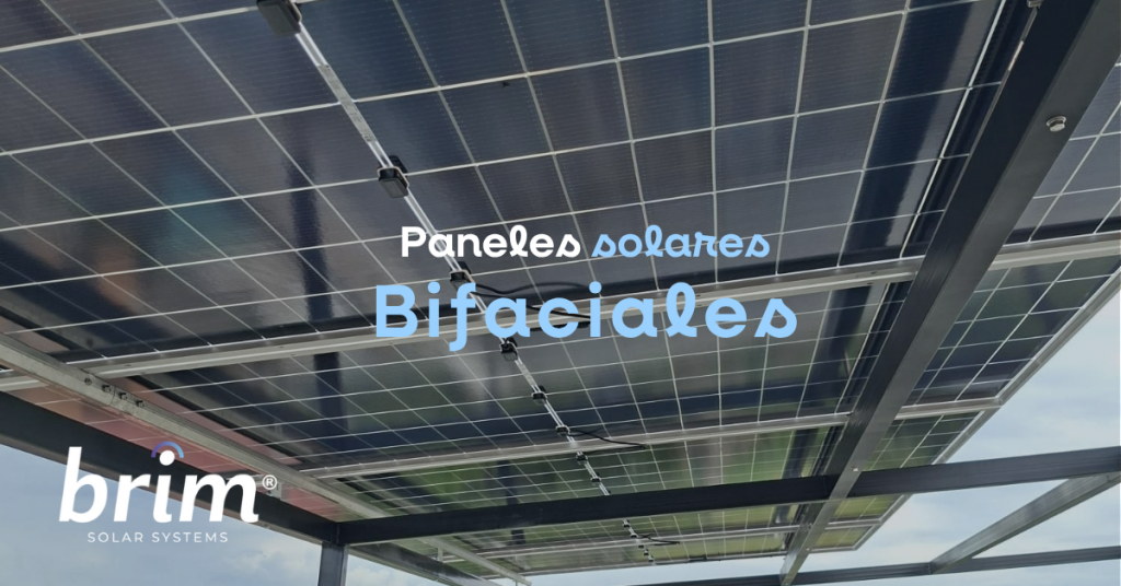 paneles solares bifaciales