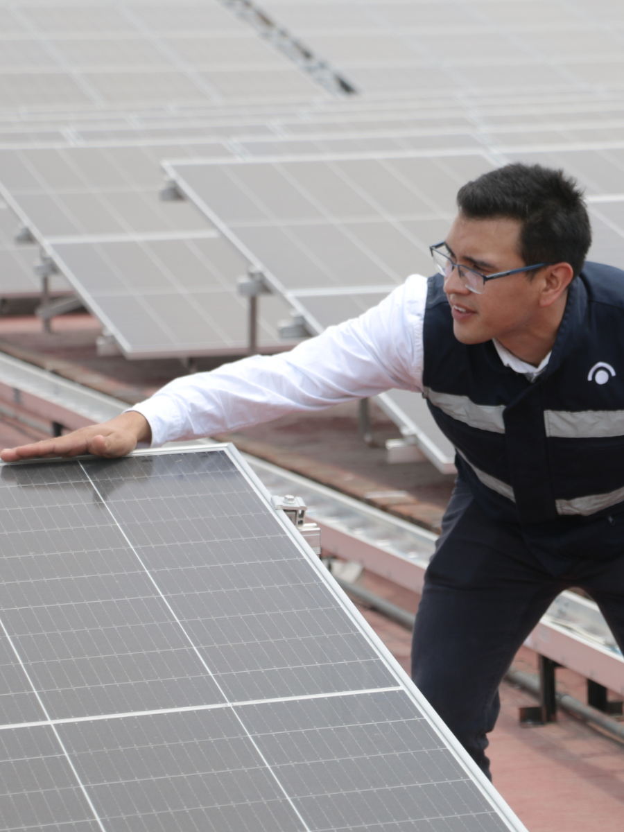 brim paneles solares