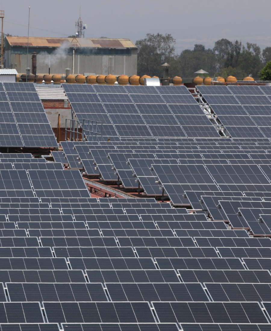 paneles solares para empresas