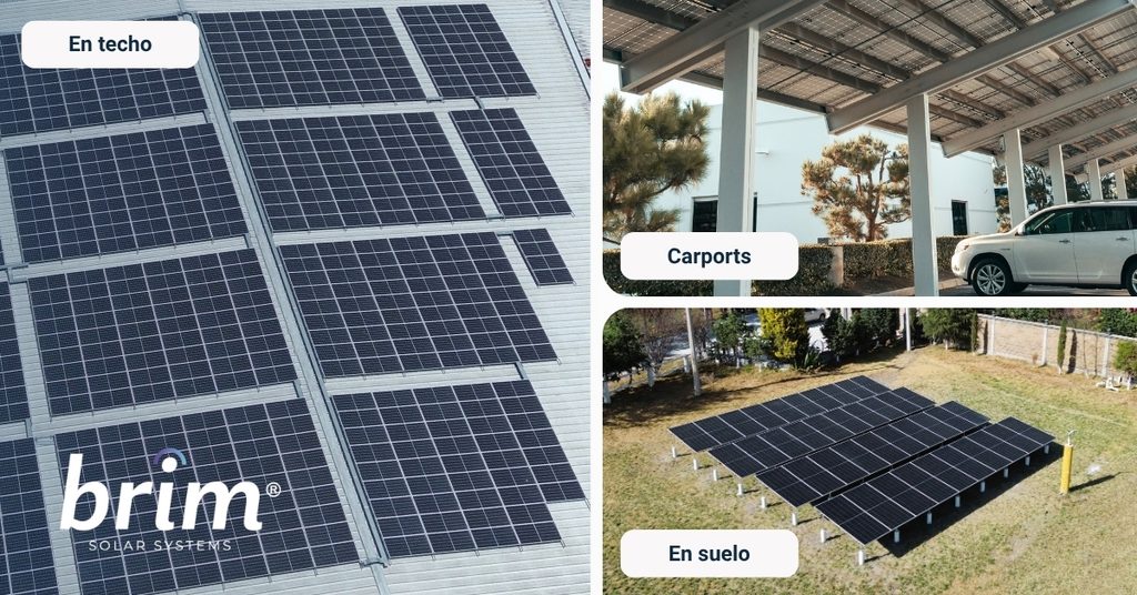 Opciones de sembrado