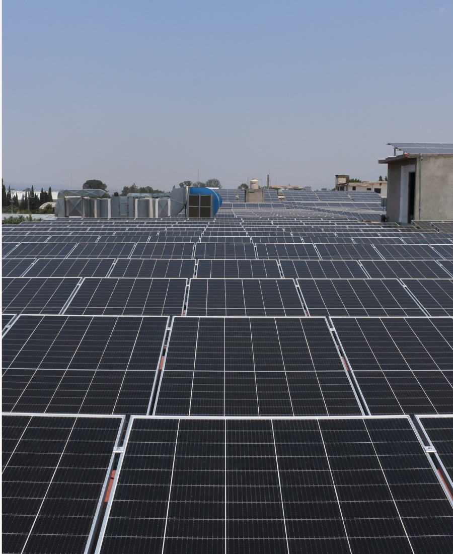 panales solares con arrendamiento